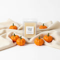 Cashmere Pumpkin Wax Melt